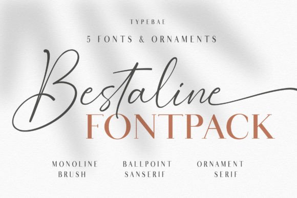 Bestaline: A Versatile Script Font for Editorial Design