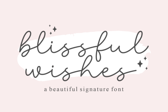 Blissful Wishes: A Graceful Script Font for Makers